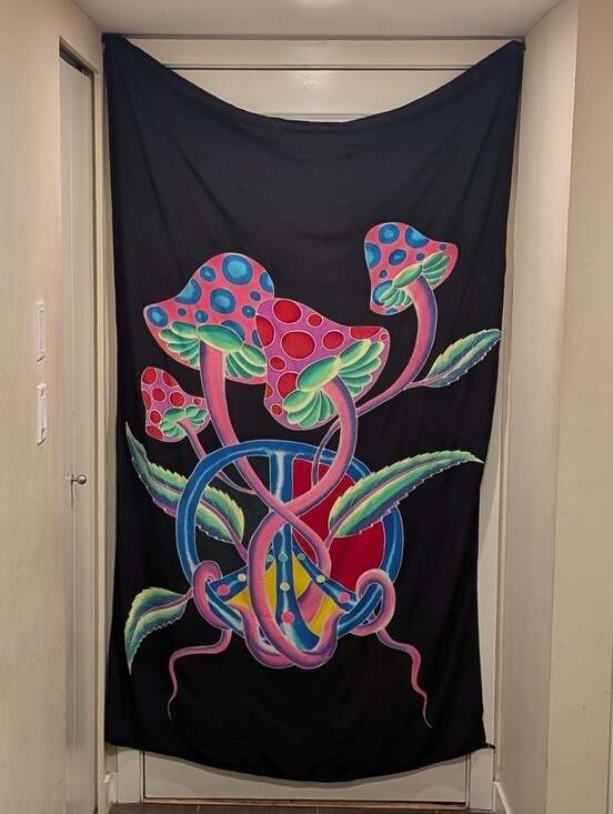 Handmade Other - EUC Massive 47"x77" Trippy Psychedelic Mushroom Neon Batik Tapestry Door Cover